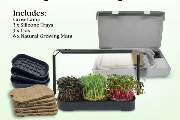 From Box to Garden in Minutes: The Asphalt Rose Microgreen System Setup Guide