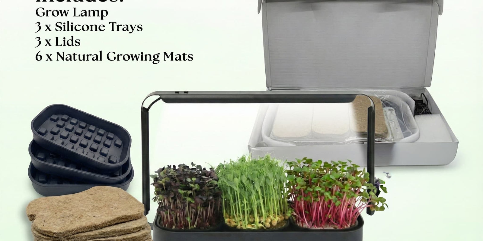 From Box to Garden in Minutes: The Asphalt Rose Microgreen System Setup Guide