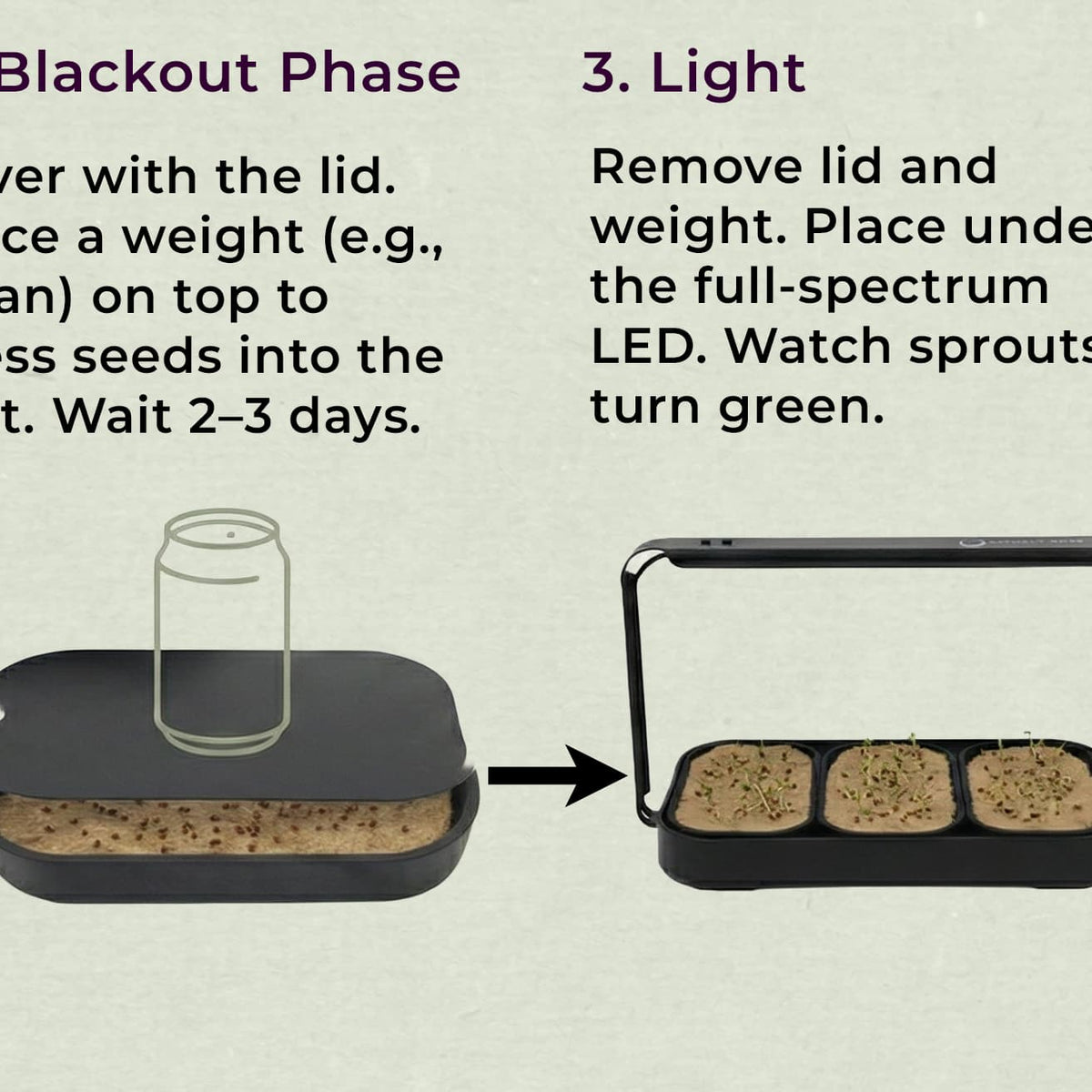 Microgreens Tray & Mat Bundle – 3 Silicone Trays & 18 Jute Mats (No Lamp, No Seeds)