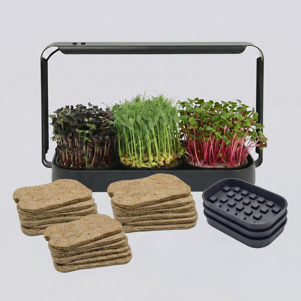 Microgreens Growing Trays Bundle – Grow Lamp, 3 Silicone Trays & 18 Jute Mats (No Seeds)