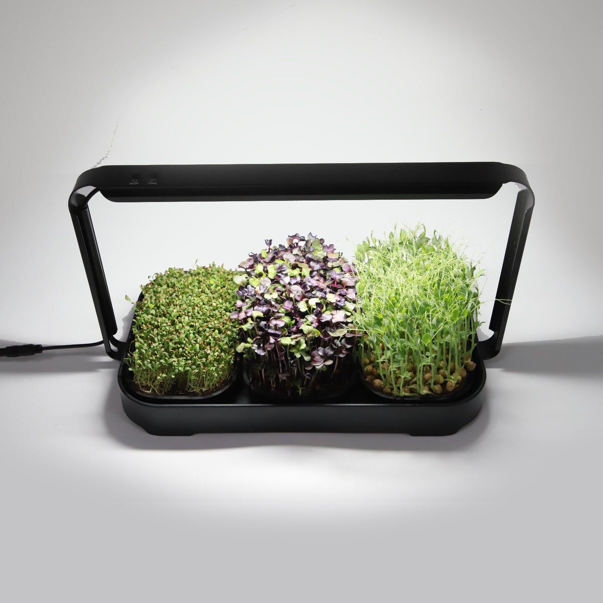 🌱 Your Garden on the Counter – Microgreen Kit by Asphalt Rose