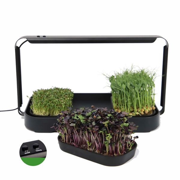 🌱 Your Garden on the Counter – Microgreen Kit by Asphalt Rose