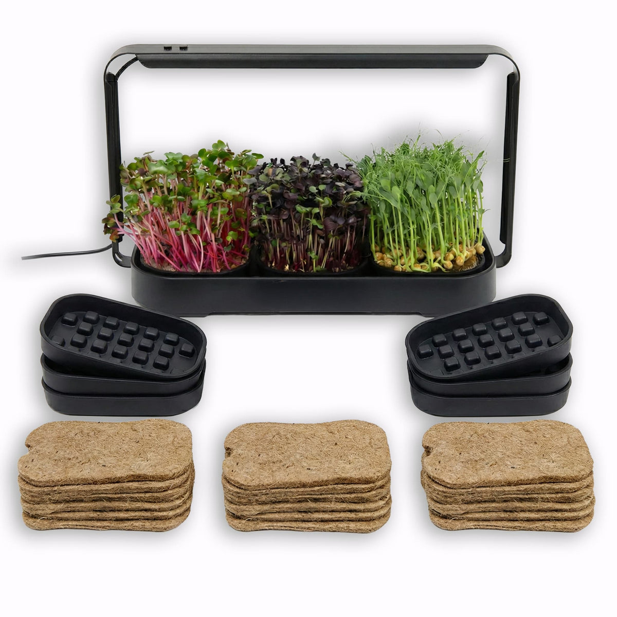 Asphalt Rose Microgreens Kit with Additional Trays and Grow Mats