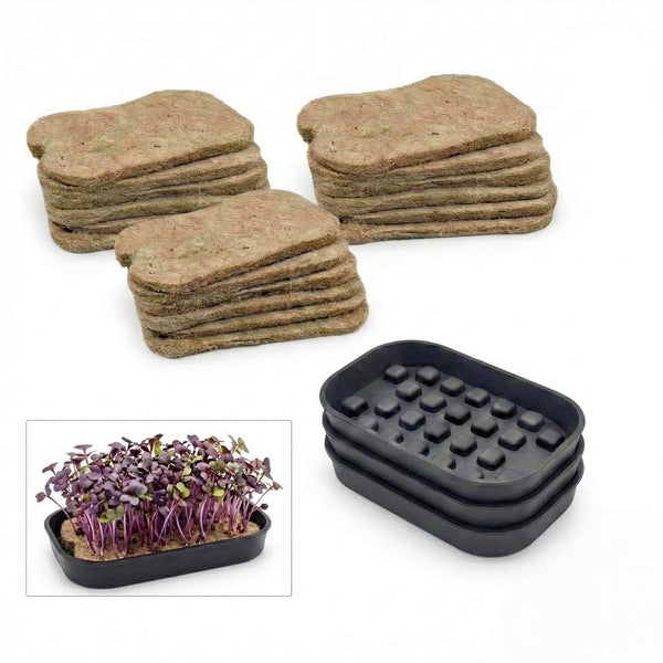 Microgreens Tray & Mat Bundle – 3 Silicone Trays & 18 Jute Mats (No Lamp, No Seeds)