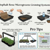 3-Pack of Asphalt Rose Silicone Growing Trays Asphalt Rose