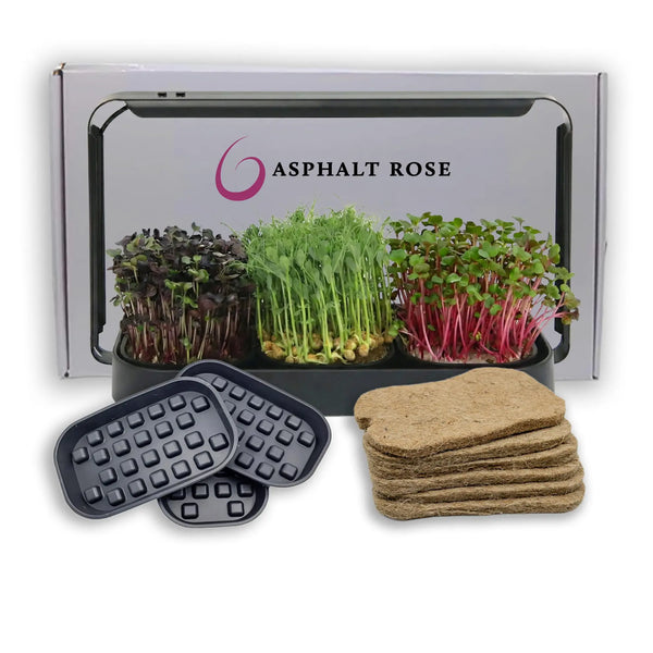 3-Pack of Asphalt Rose Silicone Growing Trays Asphalt Rose