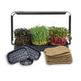 Asphalt Rose Microgreens Growing System