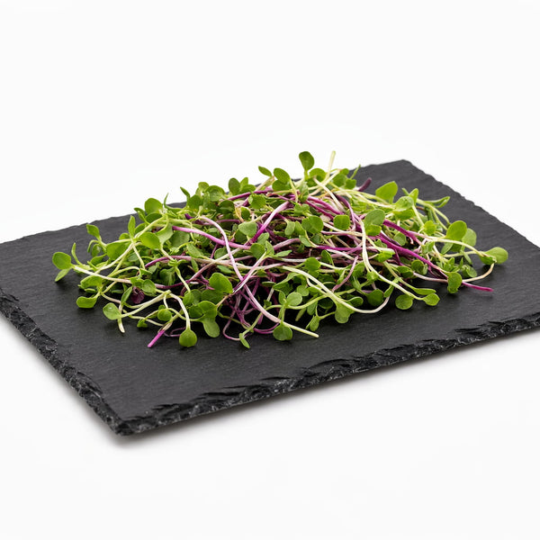 Natural Slate Serving Plate – 6 x 8 Inch Kitchenware Plate for Microgreens and Appetizers