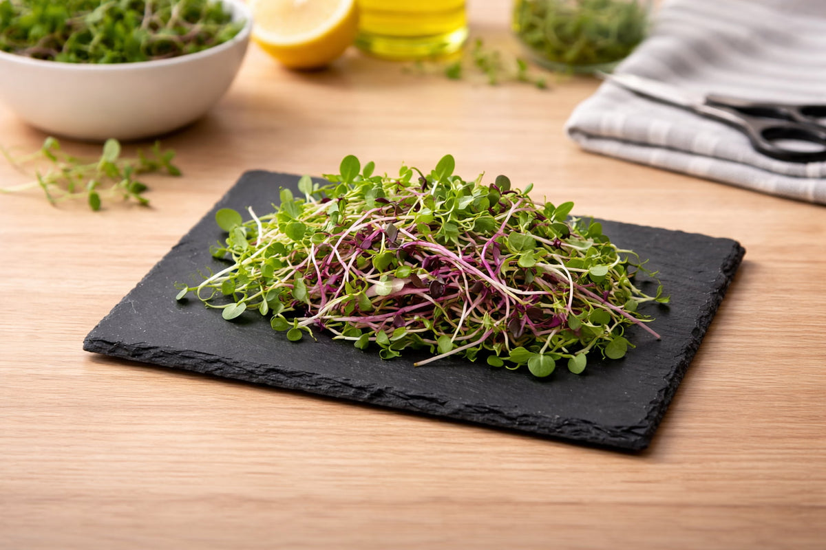 Natural Slate Serving Plate – 6 x 8 Inch Kitchenware Plate for Microgreens and Appetizers
