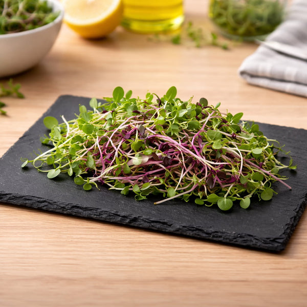 Natural Slate Serving Plate – 6 x 8 Inch Kitchenware Plate for Microgreens and Appetizers